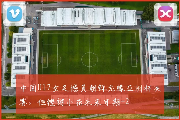 中国U17女足憾负朝鲜无缘亚洲杯决赛，但铿锵小花未来可期