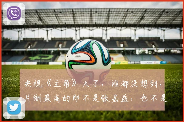 央视《主角》火了，谁都没想到，片酬最高的即不是张嘉益，也不是北电院长？