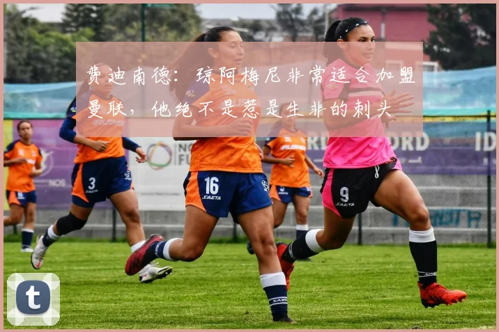 费迪南德：琼阿梅尼非常适合加盟曼联，他绝不是惹是生非的刺头