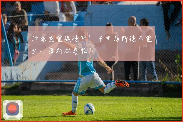 沙尔克重返德甲！卡里乌斯德乙重生，哲科双喜临门