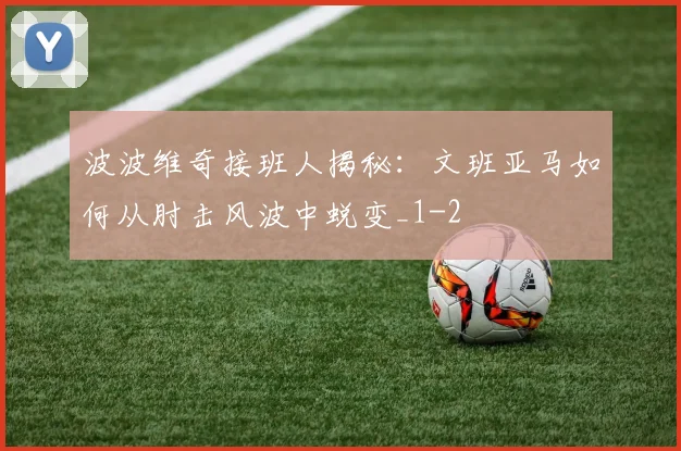 波波维奇接班人揭秘：文班亚马如何从肘击风波中蜕变_1