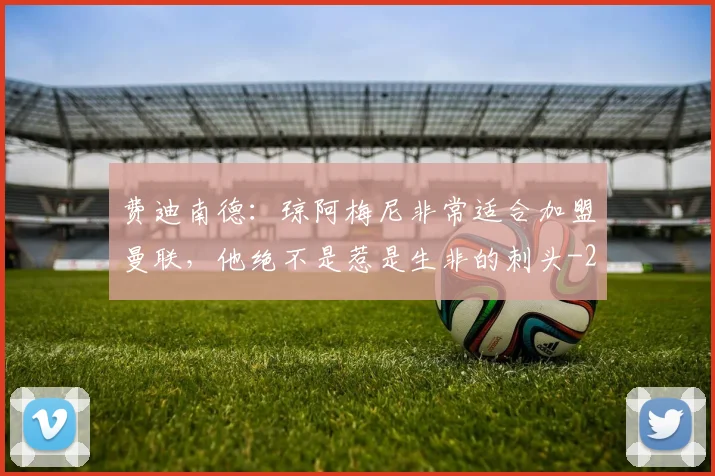 费迪南德：琼阿梅尼非常适合加盟曼联，他绝不是惹是生非的刺头